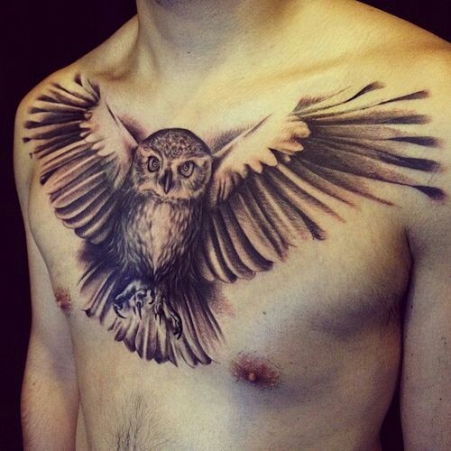 Tatuaje en el pecho, 
búho con alas desplegadas