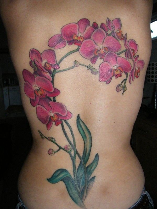 Big purple branch of orchids tattoo on back