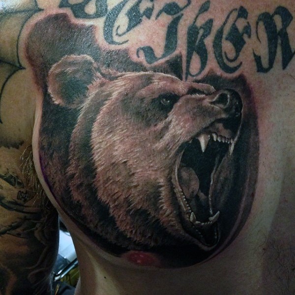 Großes realistisch gefärbtes Brust Tattoo mit wütendem  Bärenkopf