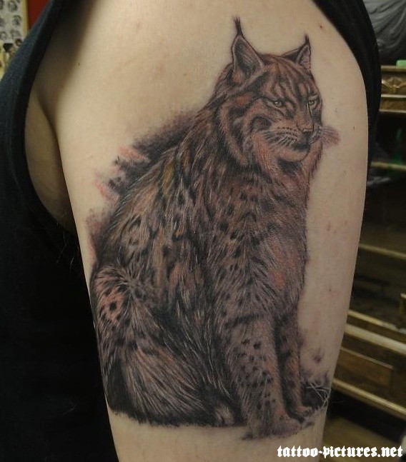 grande dipinto  realistico e dettagliato gatto selvatico tatuaggio su spalla