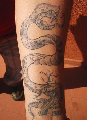 Pequeño tatuaje del árbol y una serpiente severa en color gris