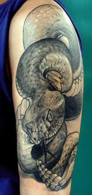 Black and gray snake tattoo on half sleeve