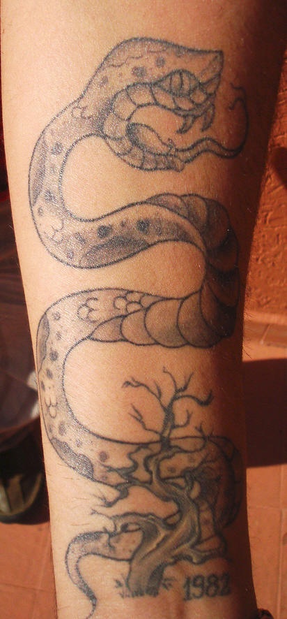 Un serpent noir et gris avec le tatouage d&quotarbre