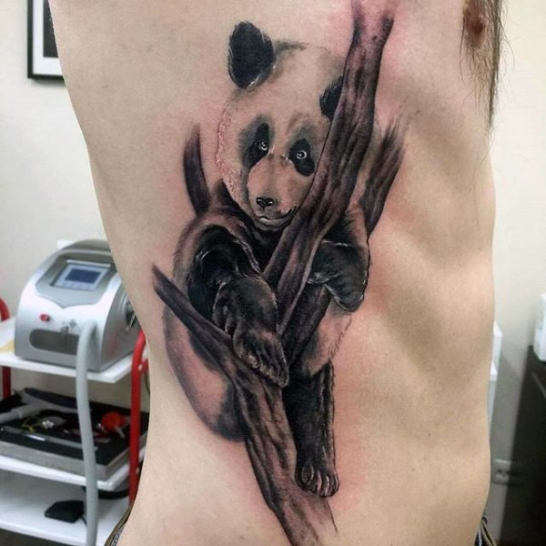 Black and gray style colored side tattoo of panda bear on tree