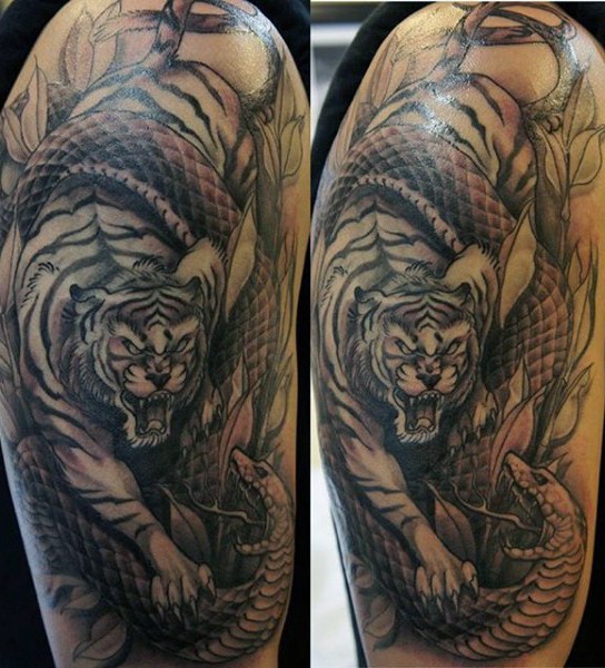 Black and gray style tiger and snake fight tattoo on shoulder