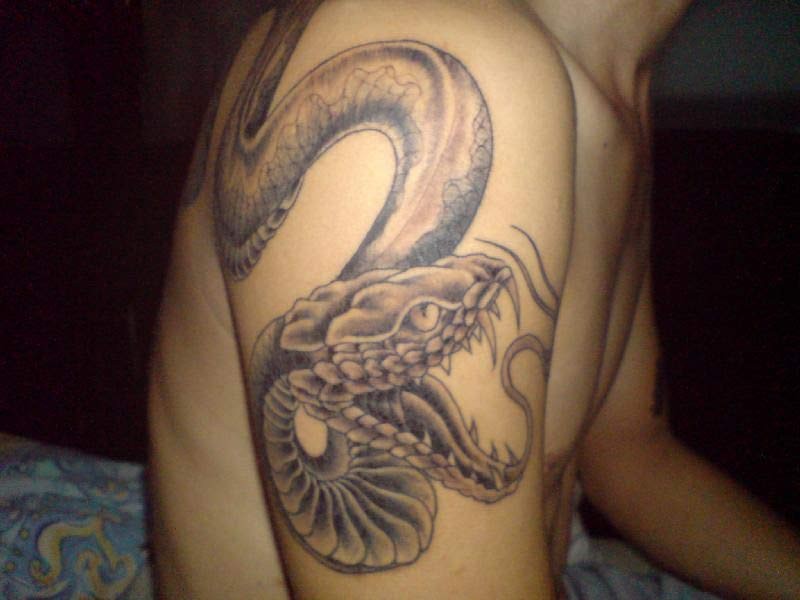 Black and gray snake tattoo on shoulder