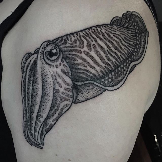 Black and white natural looking squid tattoo on shoulder