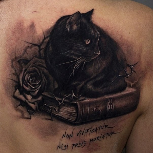 Tatuaggio super realistico il gatto sul libro