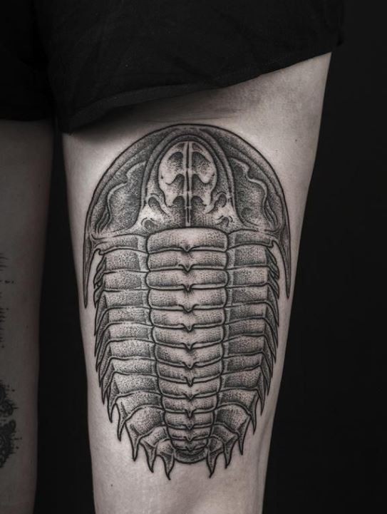 Black gray insect tattoo on thigh by Daniel Meyer
