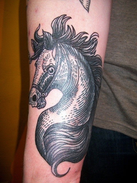 Black horse tattoo on arm