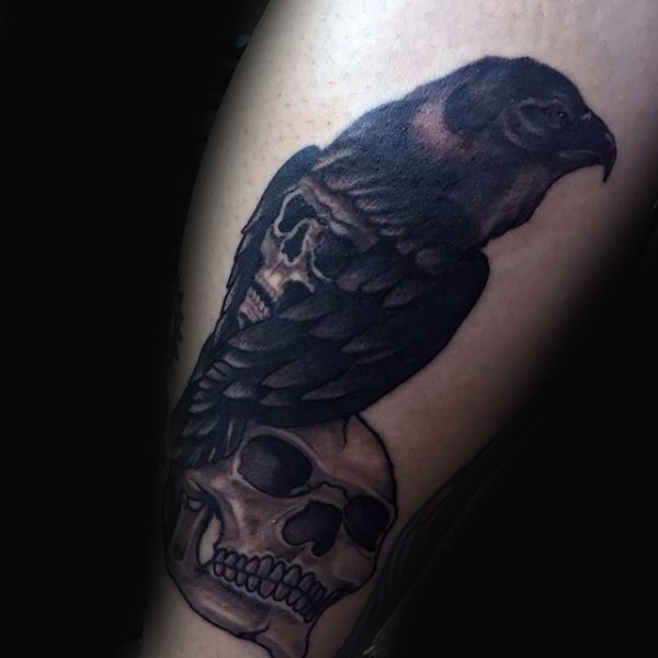 Black ink engraving style colored crow with human skulls