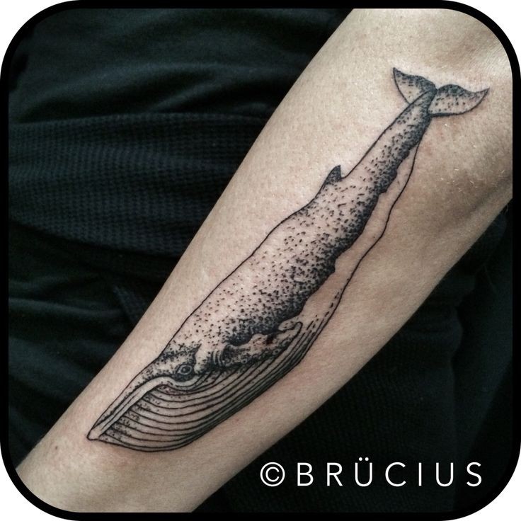 Black ink forearm tattoo of big whale