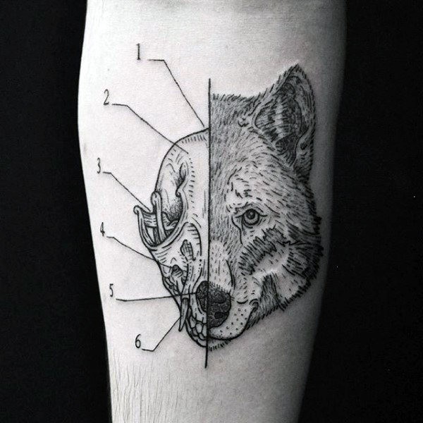 Black ink separated linework style forearm tattoo of animal skull with fox head
