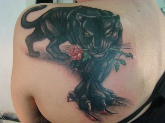 Schwarzer Panther mit einer Rose im RachenTätowierung am Schulterblatt