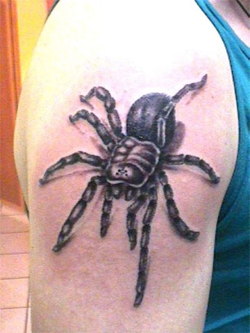 Black tarantula spider tattoo on shoulder