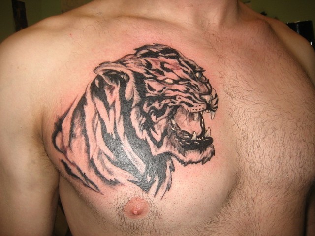 testa tigre nera tatuaggio in stile asiatico su petto