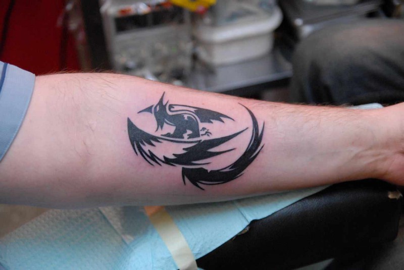 Black tribal phoenix tattoo on arm