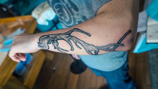 Black work style colored forearm tattoo of deers horn