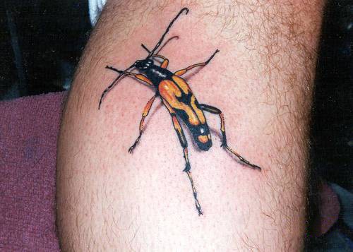 Tatuaje en la pierna, insecto largo, colores negro y amarillo