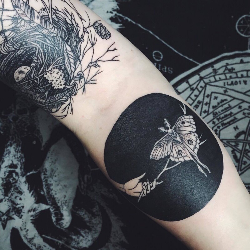 Blackwork style big butterfly with tree branch