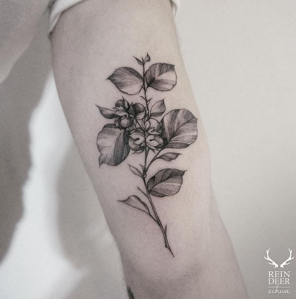 Blackwork style interesting looking arm tattoo of wild plant by Zihwa