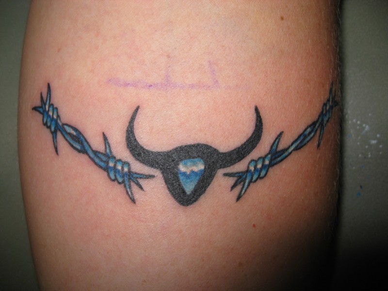 Blue barbed wire with symbol of bull