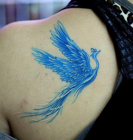 Blue phoenix tattoo on shoulder blade for girls