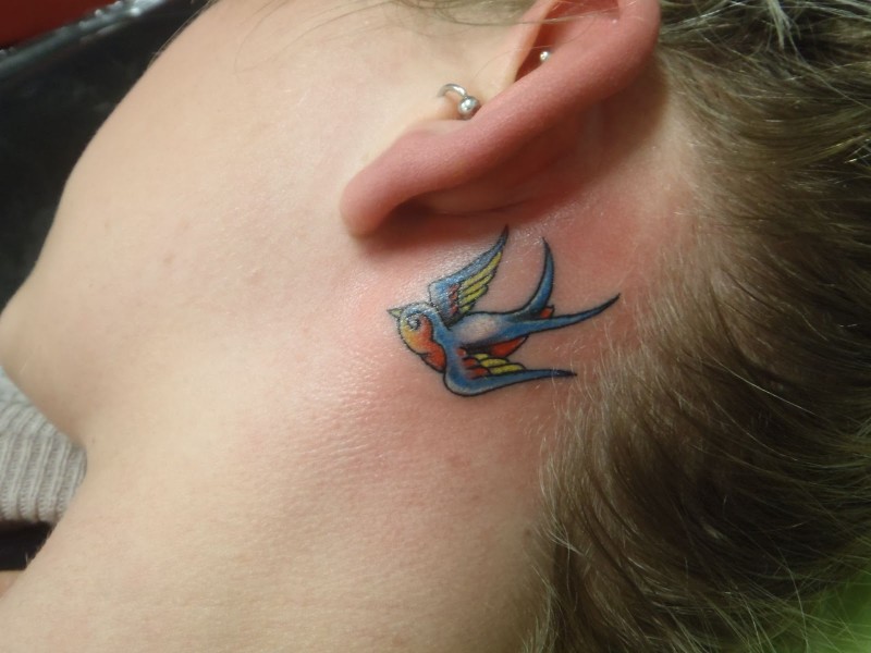 Blue small bird tattoo behind ear