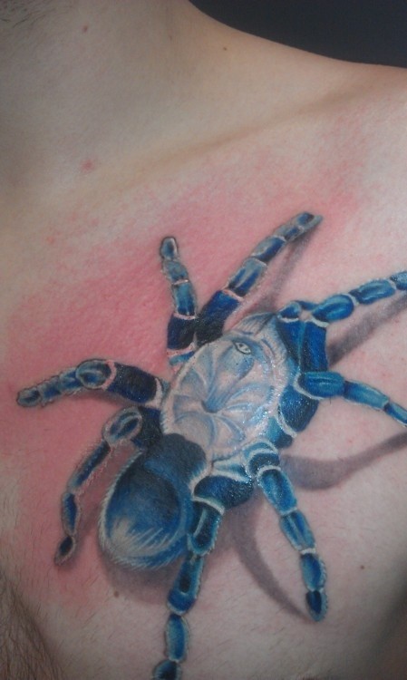 Blue tarantula  spider tattoo