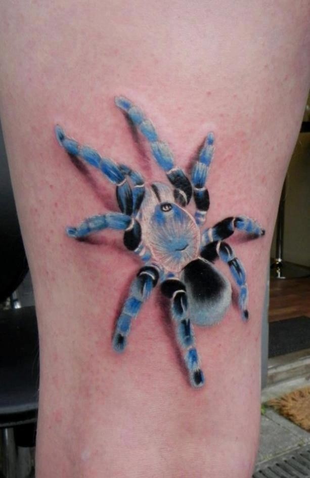 Blaue Tarantel Tattoo am Bein