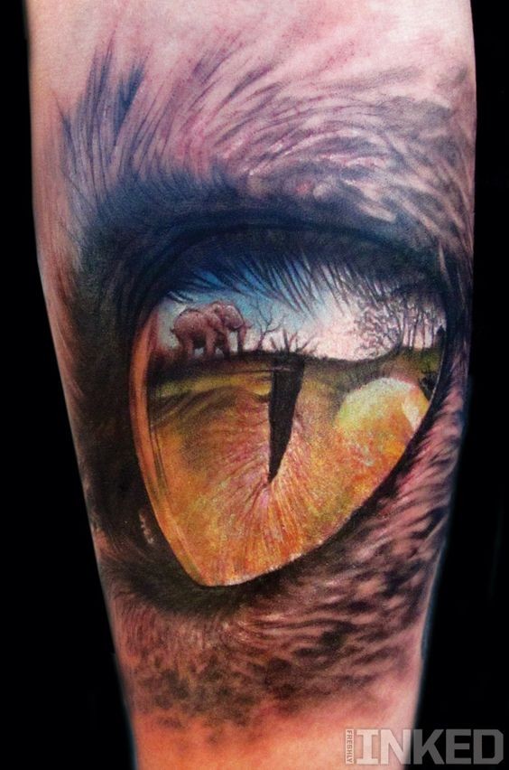 mozzafiato dipinto molto dettagliato occhio di tigre con elefante tatuaggio su braccio