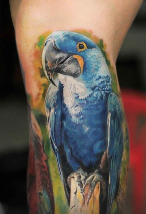 Atemberaubender sehr detaillierter und farbiger lustiger Papagei Tattoo am Bein