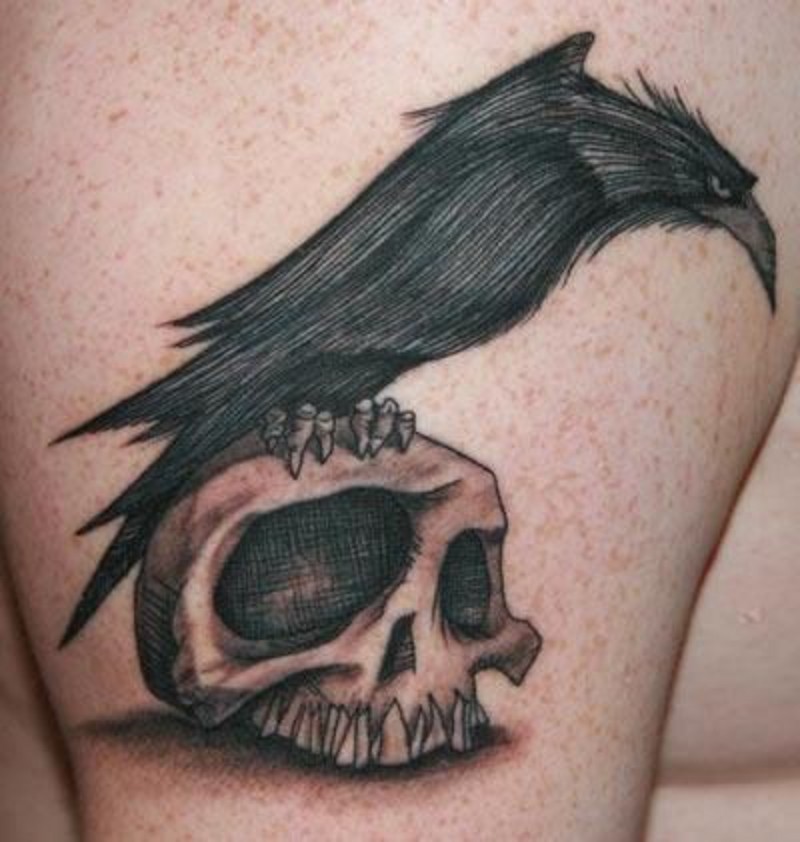Cartoon like painted black and white crow on skull tattoo