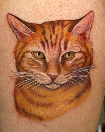 Tatuaje  de gato pelirrojo dulce realista