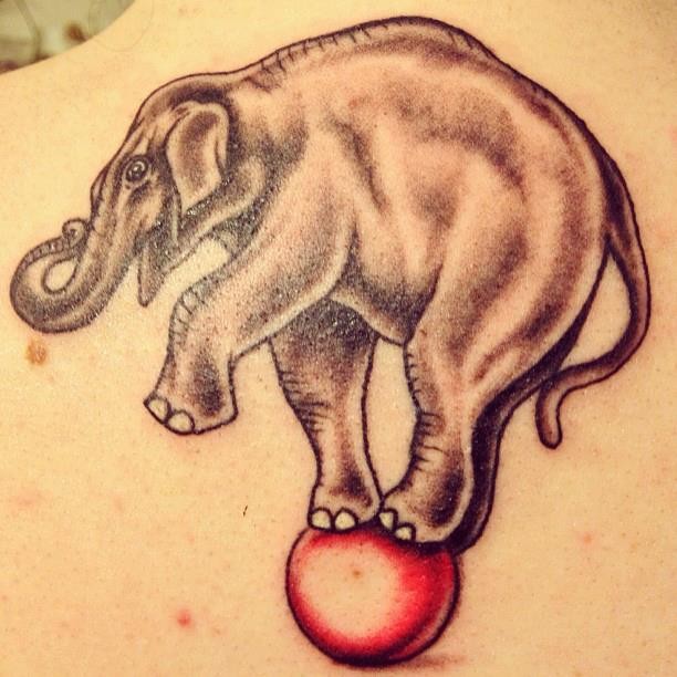 Tatuaggio sulla schiena l&quotelefante sul pallone rosso
