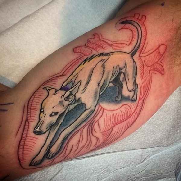 Colored biceps tattoo of wolf with human heart