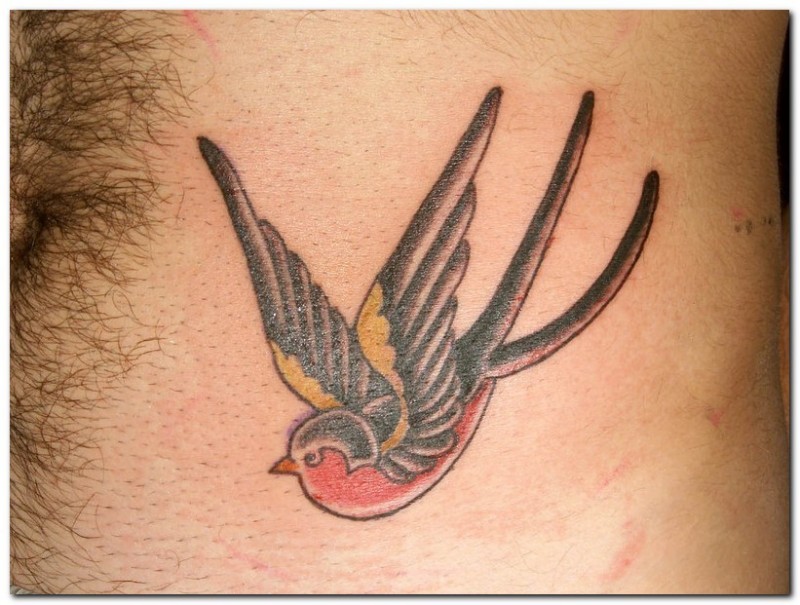 Colored bird tattoo