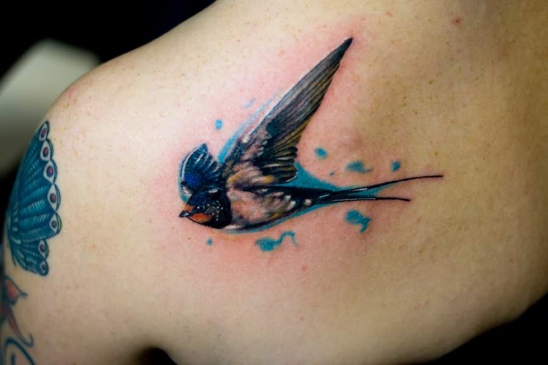 Colored bird tattoo on shoulder