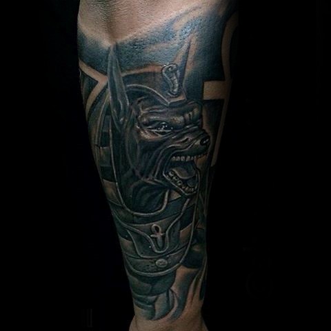 Colored illustrative style arm tattoo of Egypt God Anubis