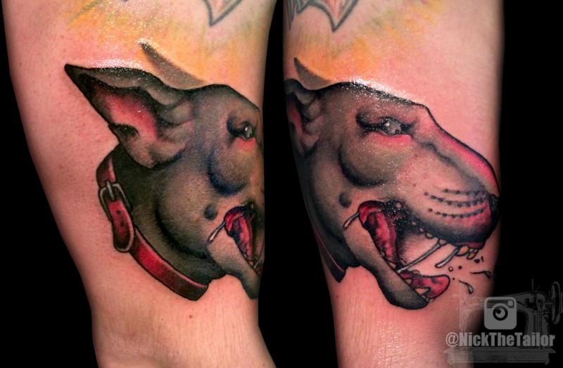 Colored old school style furious mad pitbull&quots portrait with collar tattoo
