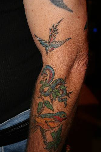 Tatuaje en la manga con serpiente y pájaros