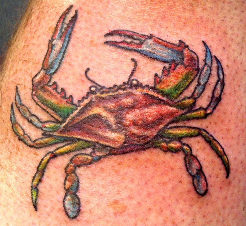 Colored painted ink crab tattoo for boys