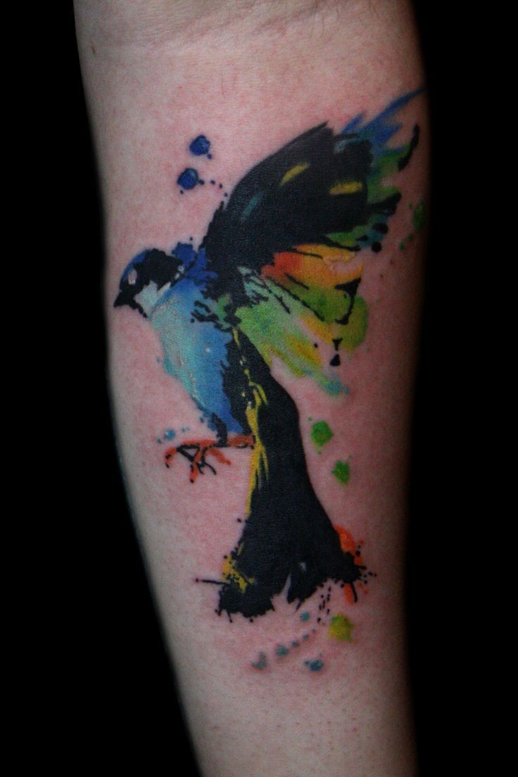Tatuaggio colorato sulla gamba l&quotuccello che vola
