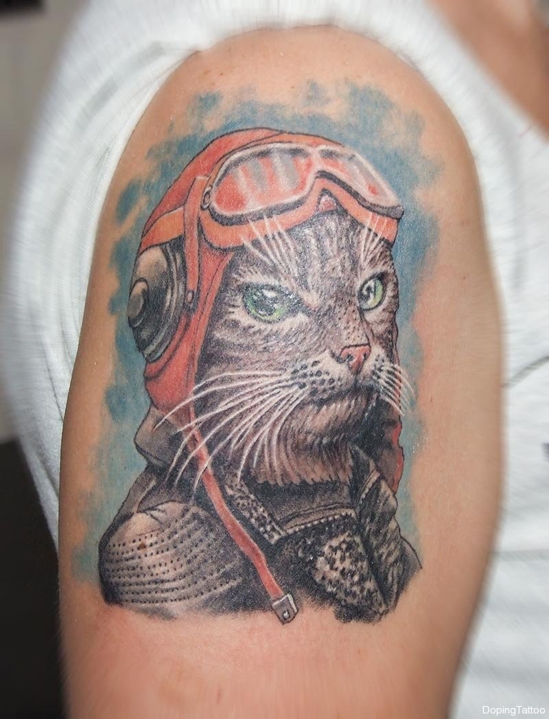 Tatuaje colorido en el hombro de un gato piloto.