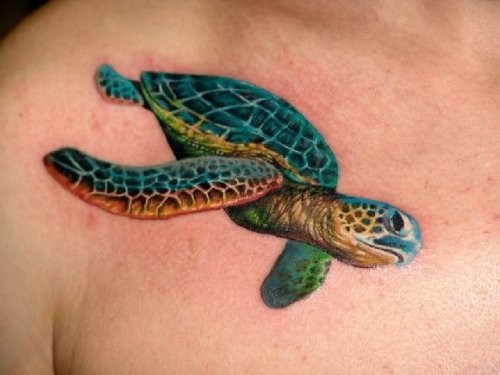 Colorful nice turtle tattoo on chest