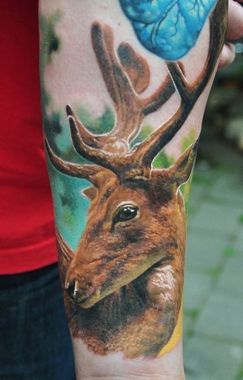Colorful realistic deer tattoo on arm by Den Yakovlev