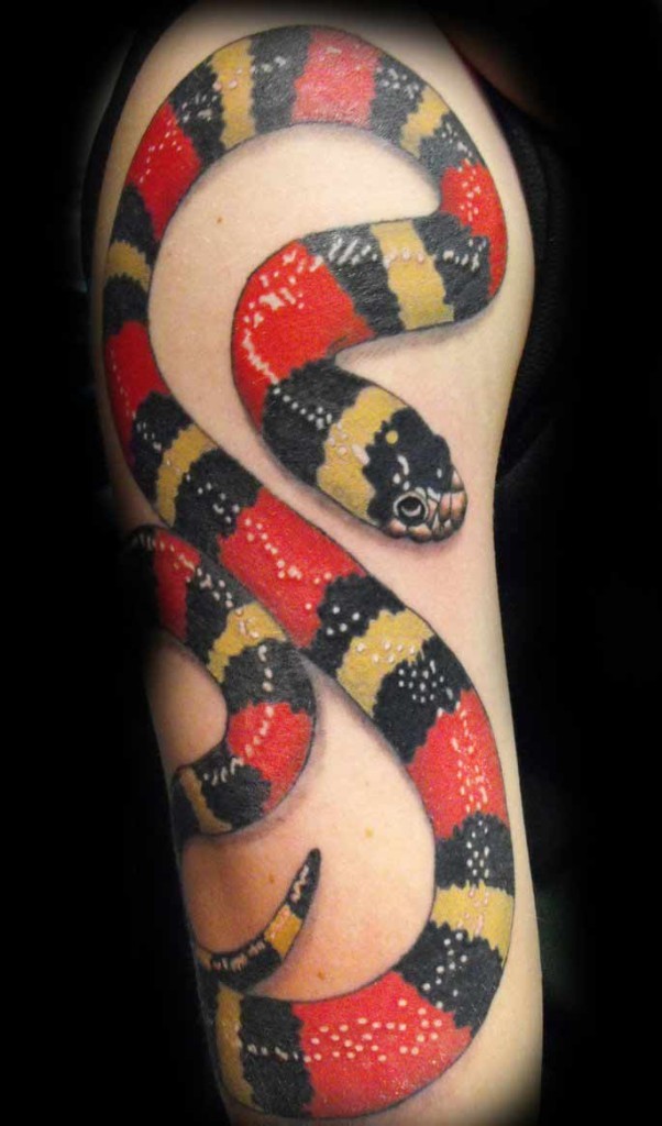 Red and black snake tattoo on arm