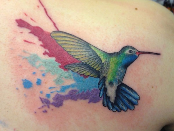 Colorful splashes hummingbird