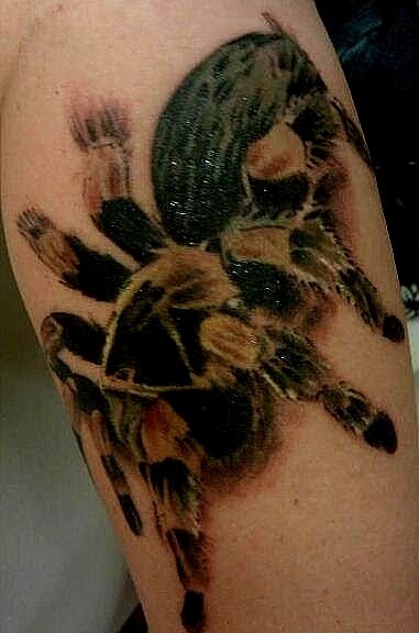 Colorful tarantula spider tattoo