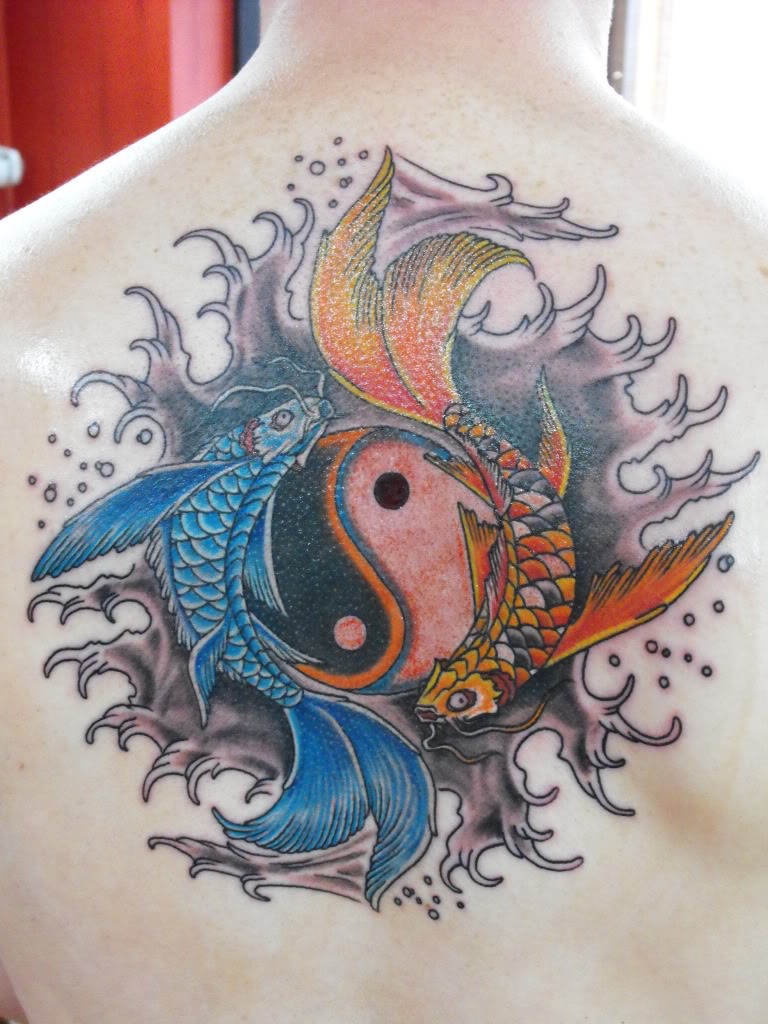 Tatuaggio colorato sulla schiena le carpe koi & il disegno in stile Yin-Yang